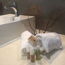 Shampoo, bath towels, beach towels, and a courtesy 1st night kit with water, toilette paper and some snacks