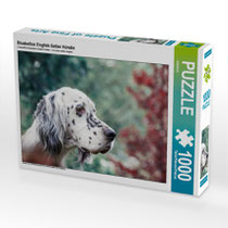 Setter Puzzle