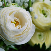DA3 studio fiori per matrimonio Ranuncoli e Gypsophila