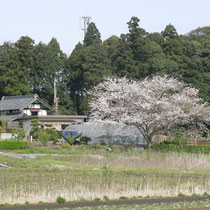 農村風景