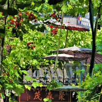 Die Altstadt von Chongqing