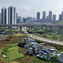 Im Hintergrund die ersten Hochhäuser von Chongqing