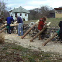 Wood carving workshop, Dornach, Switzerland 2008.