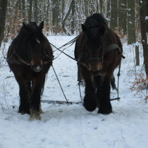 (v.l.) Rubinia und Elfi