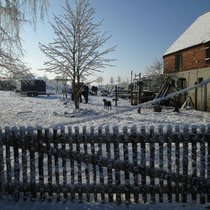 Schnee bei schönstem Sonnenschein