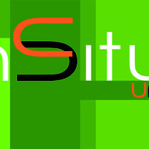 Logo & card "InSituniq"