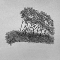 Darß Weststrand III | 2021 | Tusche auf Papier | 30 x 40 cm