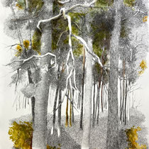 Verästelungen | Tusche / Ölfarbe auf Papier | 76 x 56 cm 