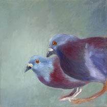 Tauben | 2025 | Öl auf Leinwand | 25 x 25 cm
