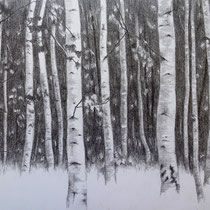 Birkenwäldchen | 2021 | Bleistift auf Papier auf Holz | 20 x 25 cm