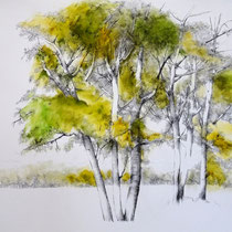 Baumreihe Ebene Ardèche | 2020 | Tusche / Ölfarbe auf Papier | 56 x 76 cm