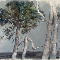 As I walk V Schlei | 2025 | Tusche / Ölfarbe auf Papier | 56 x 76 cm