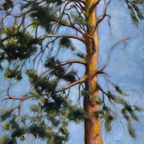 Pfalz Baum | 2014/2023 | Öl auf Leinwand | 100 x 50 cm
