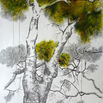 Melaten Platane | 2020 | Tusche / Ölfarbe auf Papier | 76 x 56 cm