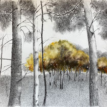 Durchblicke | 2021 | Tusche / Ölfarbe auf Papier | 42 x 52 cm