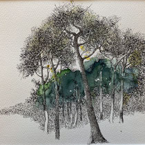 Mecklenburg | 2025 | Tusche / Aquarell auf Papier | 30 x 40 cm