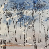 Schlei Birken | 2023 | Tusche / Aquarellfarbe | 30 x 40 cm