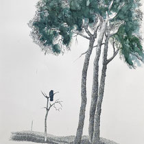 Auf Hügeln III | 2025 | Tusche / Aquarell auf Papier | 76 x 56 cm cm