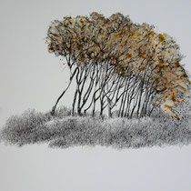 Darß Weststrand | 2021 | Tusche / Aquarell auf Papier | 30 x 40 cm