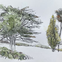As I walk | 2024 | Tusche / Aquarellfarbe auf Papier | 23 x 32 cm