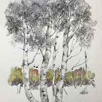 Amrum Birken | 2023 | Tusche / Aquarellfarbe auf Papier | 40 x 30 cm