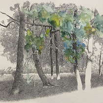As I walk II | 2024 | Tusche / Aquarellfarbe auf Papier | 65 x 100 cm