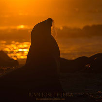 Atardecer en isla San Cristóbal