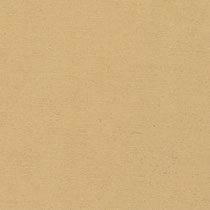 9816 sand