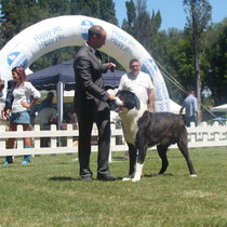 Bomber a 14 mesi all'Esposizione Internazionale di Orvieto 2012