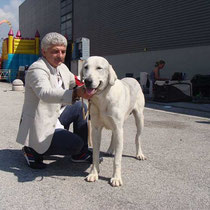 Cezar Mulan Ray - 2° Eccellente Classe Giovani