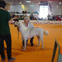 Cezar Mulan Ray - 2° Eccellente Classe Giovani