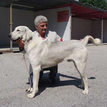 Cezar Mulan Ray - 2° Eccellente Classe Giovani