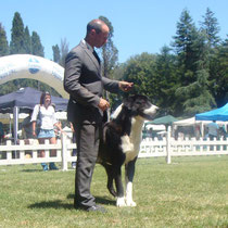 Bomber a 14 mesi all'Esposizione Internazionale di Orvieto 2012