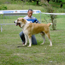 Expo Internazionale Terni 2007 - 1° Ecc CAC - CACIB