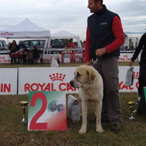  FERGUS MULAN RAY - 2° Molto Promettente in Classe Juniores Maschi