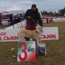  FARAH MULAN RAY - 3^ Molto Promettente in Classe Juniores Femmine