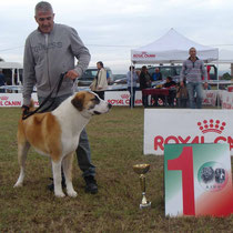  FATO MULAN RAY - 1° Molto Promettente in Classe Juniores Maschi