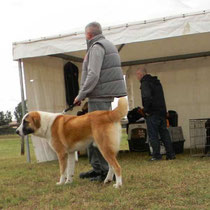  FATO MULAN RAY - 1° Molto Promettente in Classe Juniores Maschi