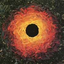 Land Art, Andy Goldsworthy