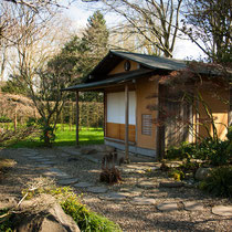 Teehaus im Frrühjahr