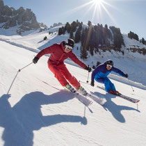 Cavalese-Trentino-Stevasas-sci