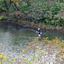 Buskin River