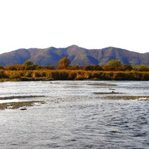 Karluk River