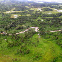 Talachulitna Creek