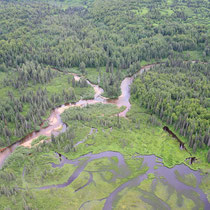 Talachulitna Creek