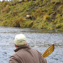 on the other side ot the river the next cub.