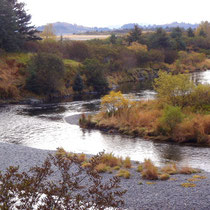 Buskin River