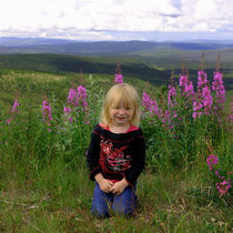 Charline auf dem Top of the World Highway