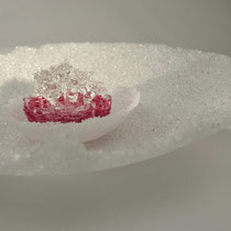 Sternanis, 2019, D 26 cm