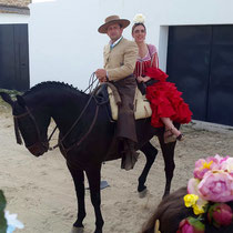 Viajeros de la Romería del Rocío
